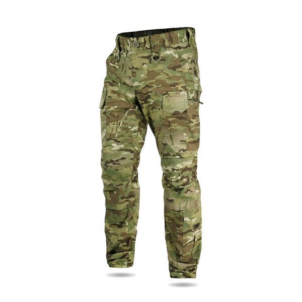, 2XL